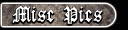 Click Here for All Other Miscellaneus Costumes
